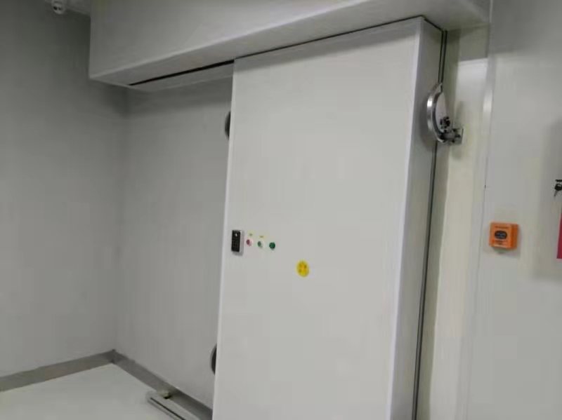 屏蔽機(jī)房電動平移式屏蔽門